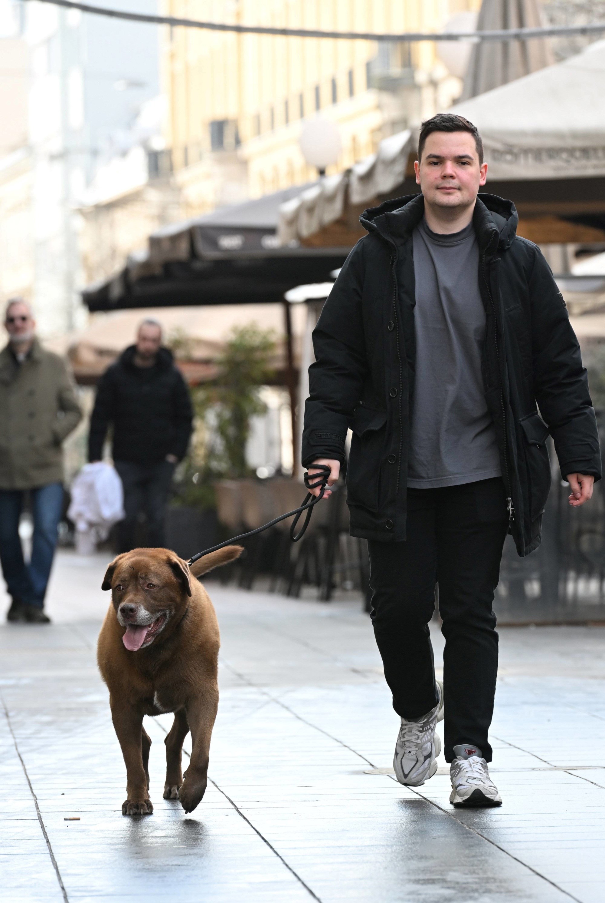 FOTO I psići su se sredili za špicu. Pogledajte preslatku galeriju