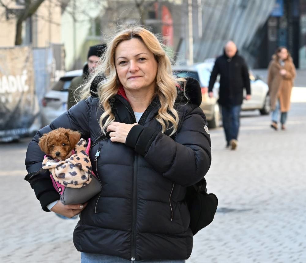 FOTO I psići su se sredili za špicu. Pogledajte preslatku galeriju