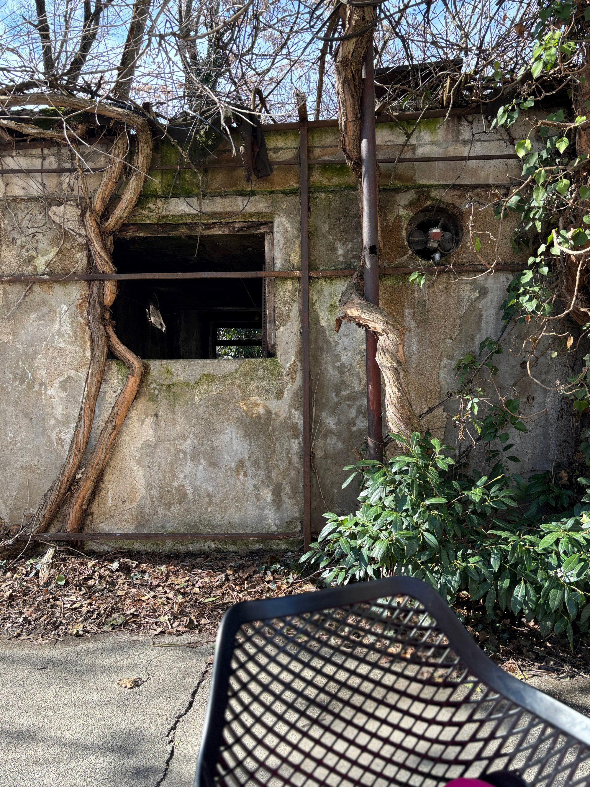 Posjetila sam hvaljenu zagrebačku slastičarnicu - i naišla na ovo