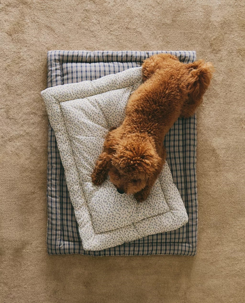 Zaljubili smo se u novu kolekciju za kućne ljubimce iz Zare