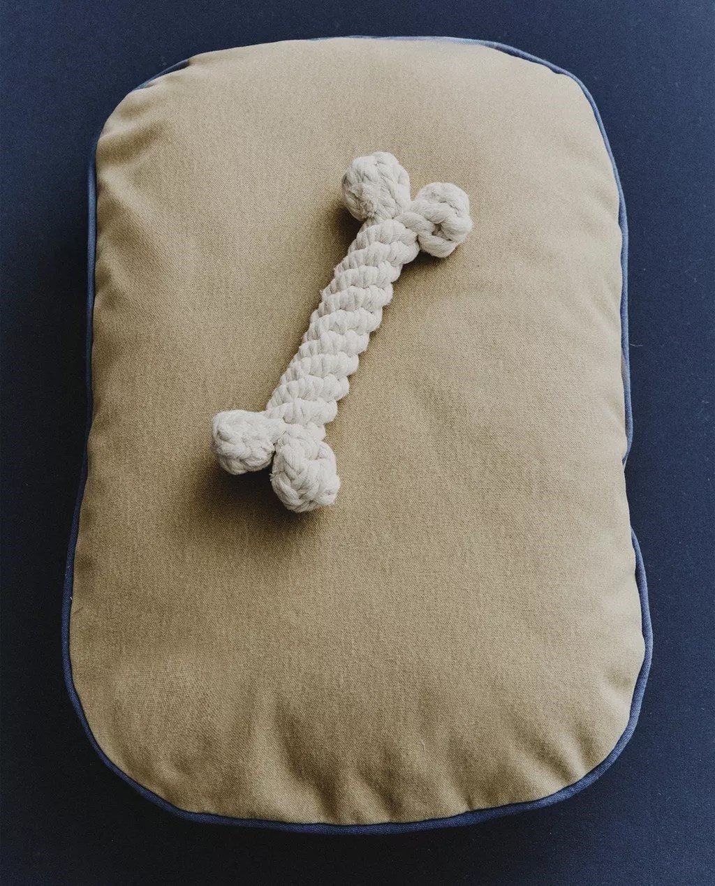 Zaljubili smo se u novu kolekciju za kućne ljubimce iz Zare