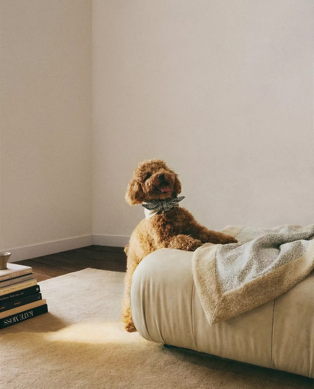 Zaljubili smo se u novu kolekciju za kućne ljubimce iz Zare