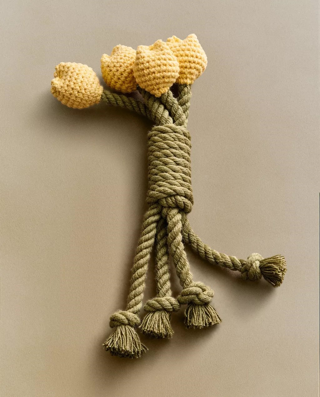 Zaljubili smo se u novu kolekciju za kućne ljubimce iz Zare