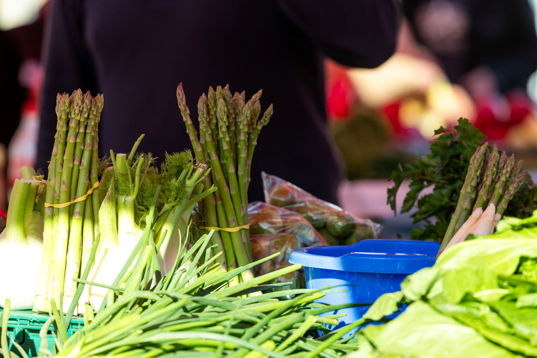 Ogromna razlika u cijeni šparoga u Zagrebu: Na jednoj tržnici 3, na drugoj 10 eura