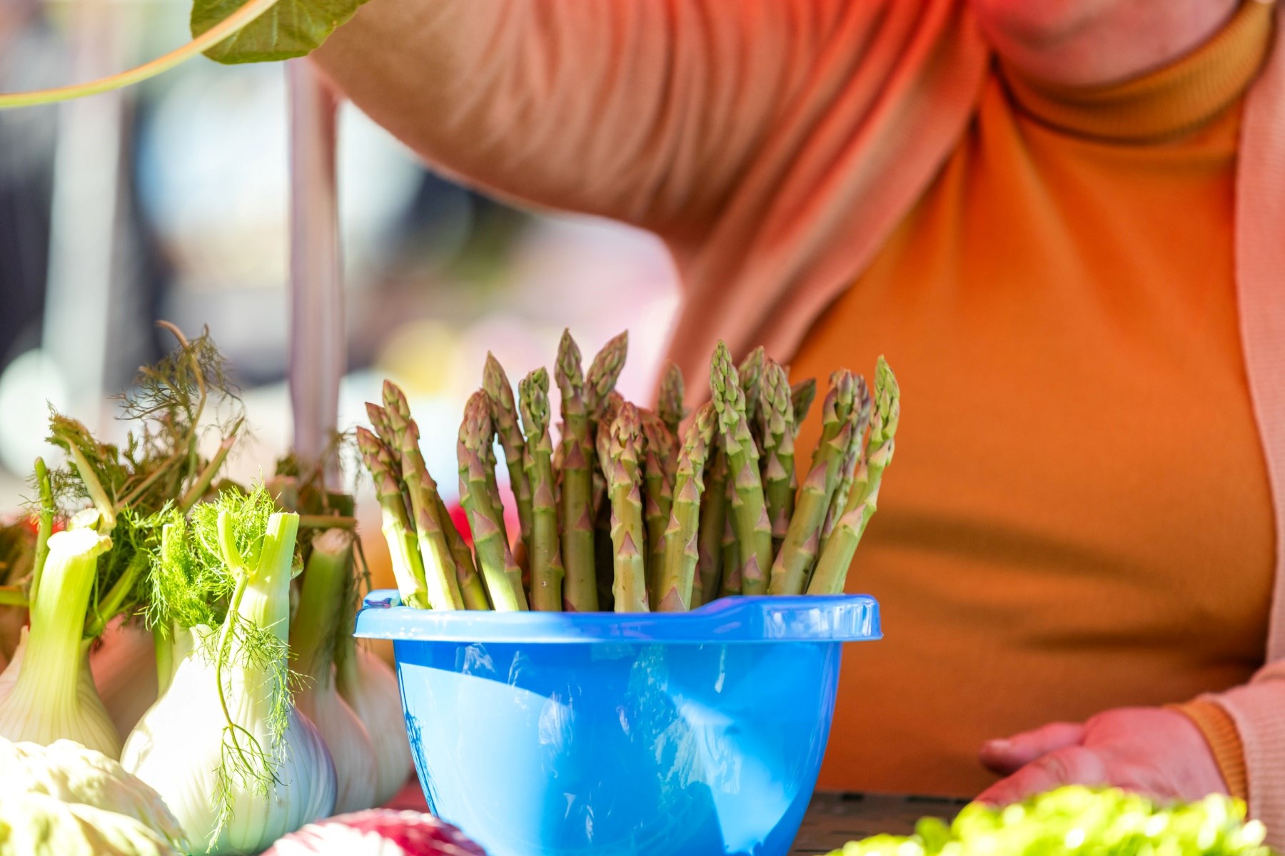 Ogromna razlika u cijeni šparoga u Zagrebu: Na jednoj tržnici 3, na drugoj 10 eura