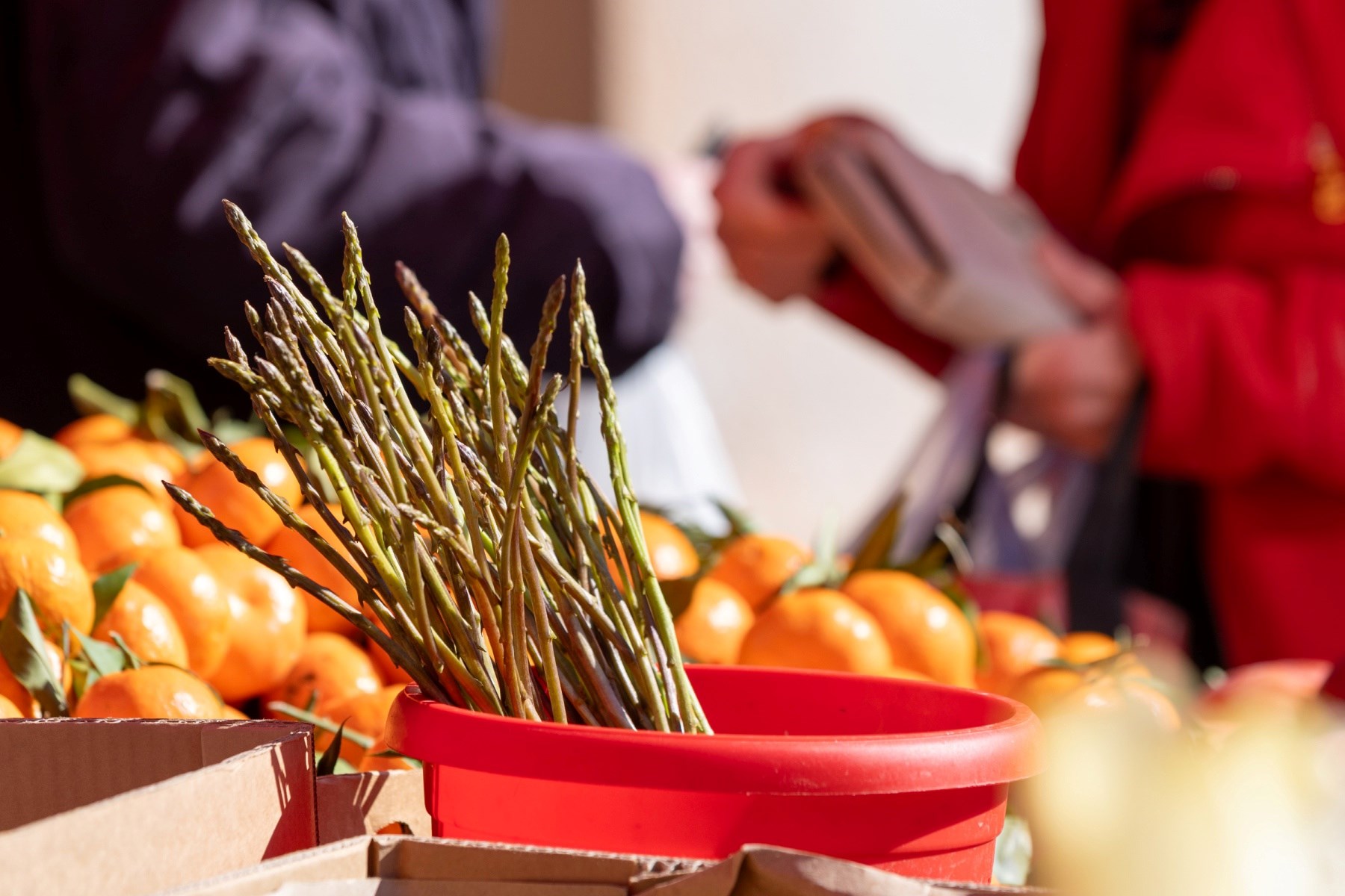 Ogromna razlika u cijeni šparoga u Zagrebu: Na jednoj tržnici 3, na drugoj 10 eura