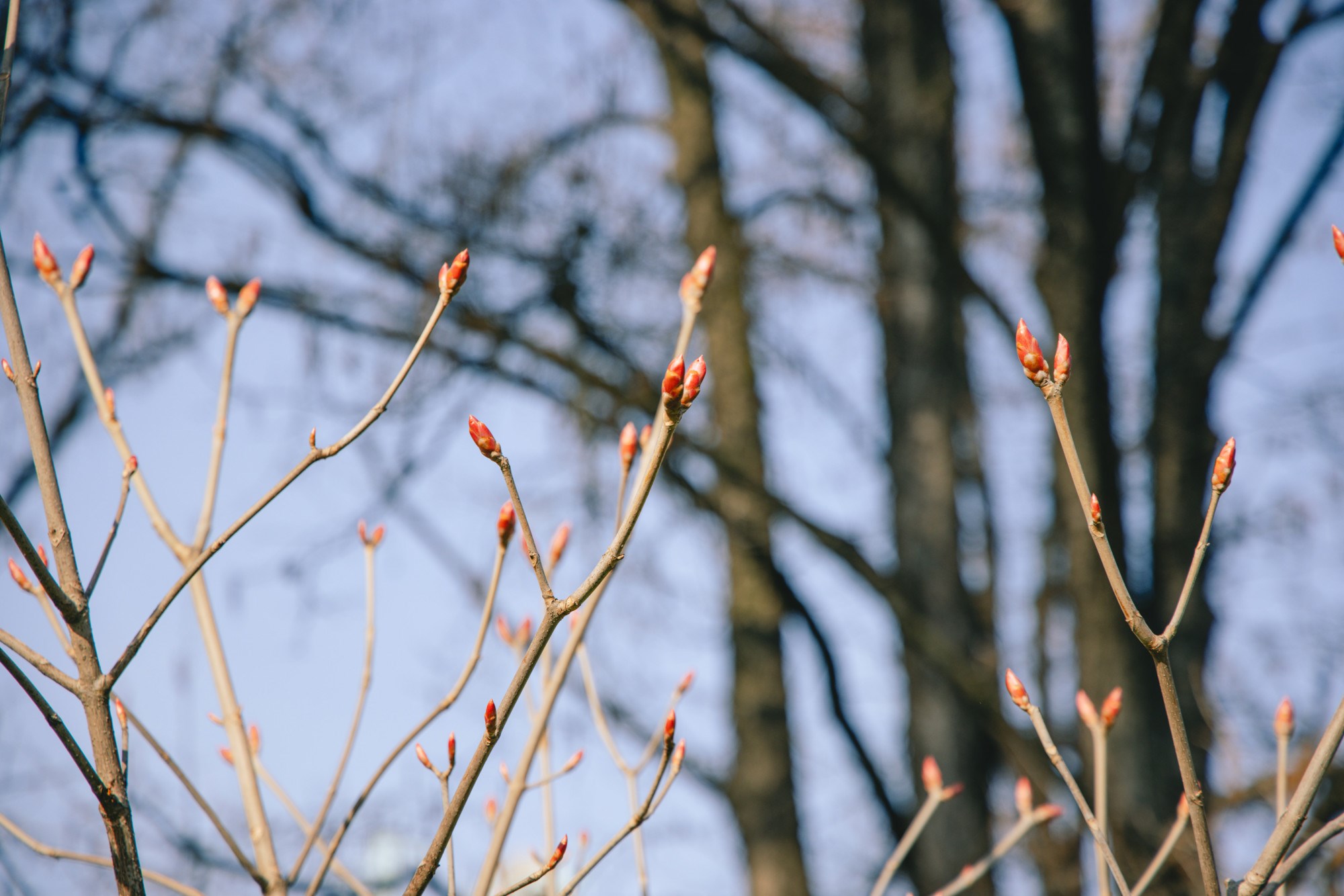 VELIKA GALERIJA Sasvim nečujno nam je stiglo proljeće
