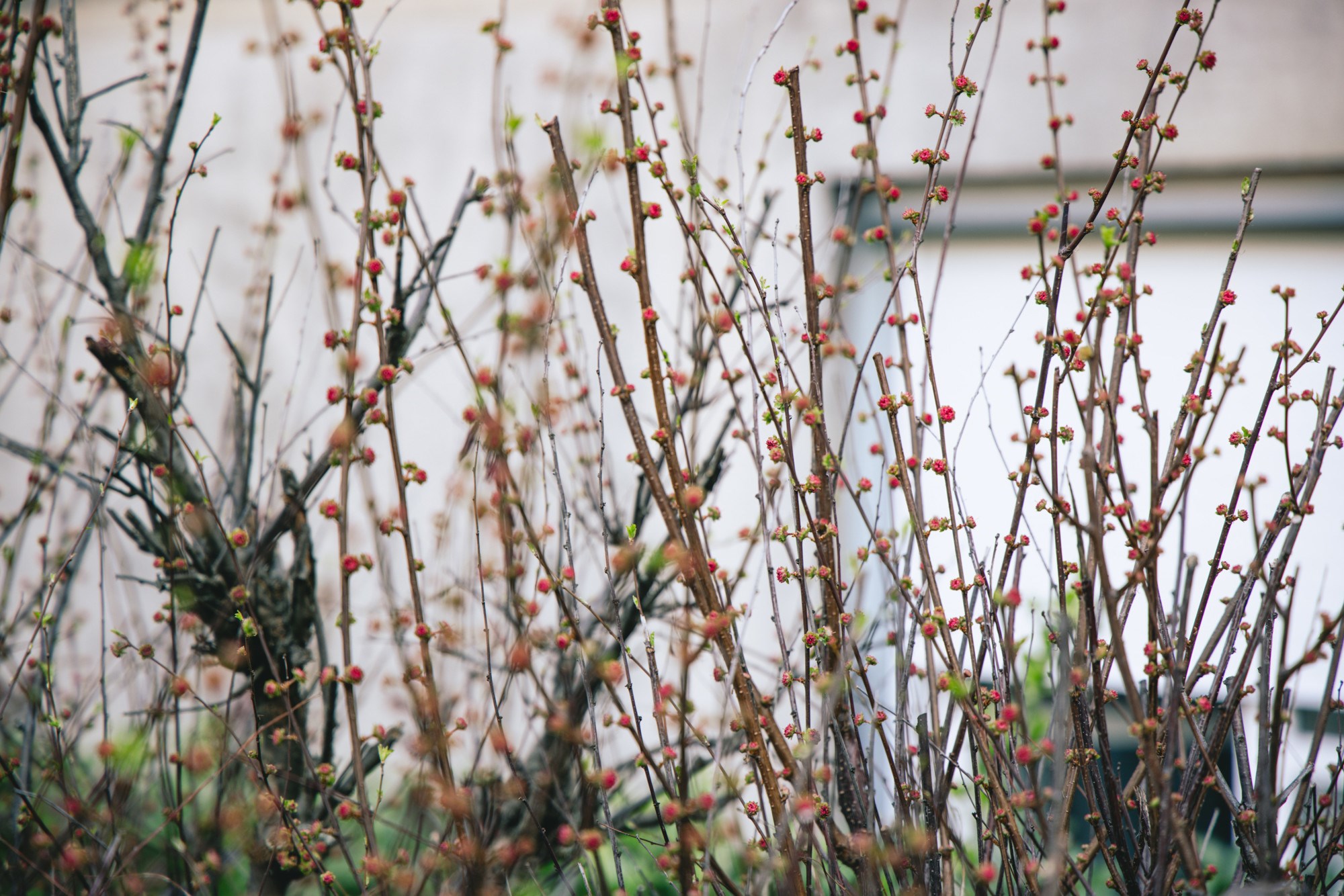 VELIKA GALERIJA Sasvim nečujno nam je stiglo proljeće