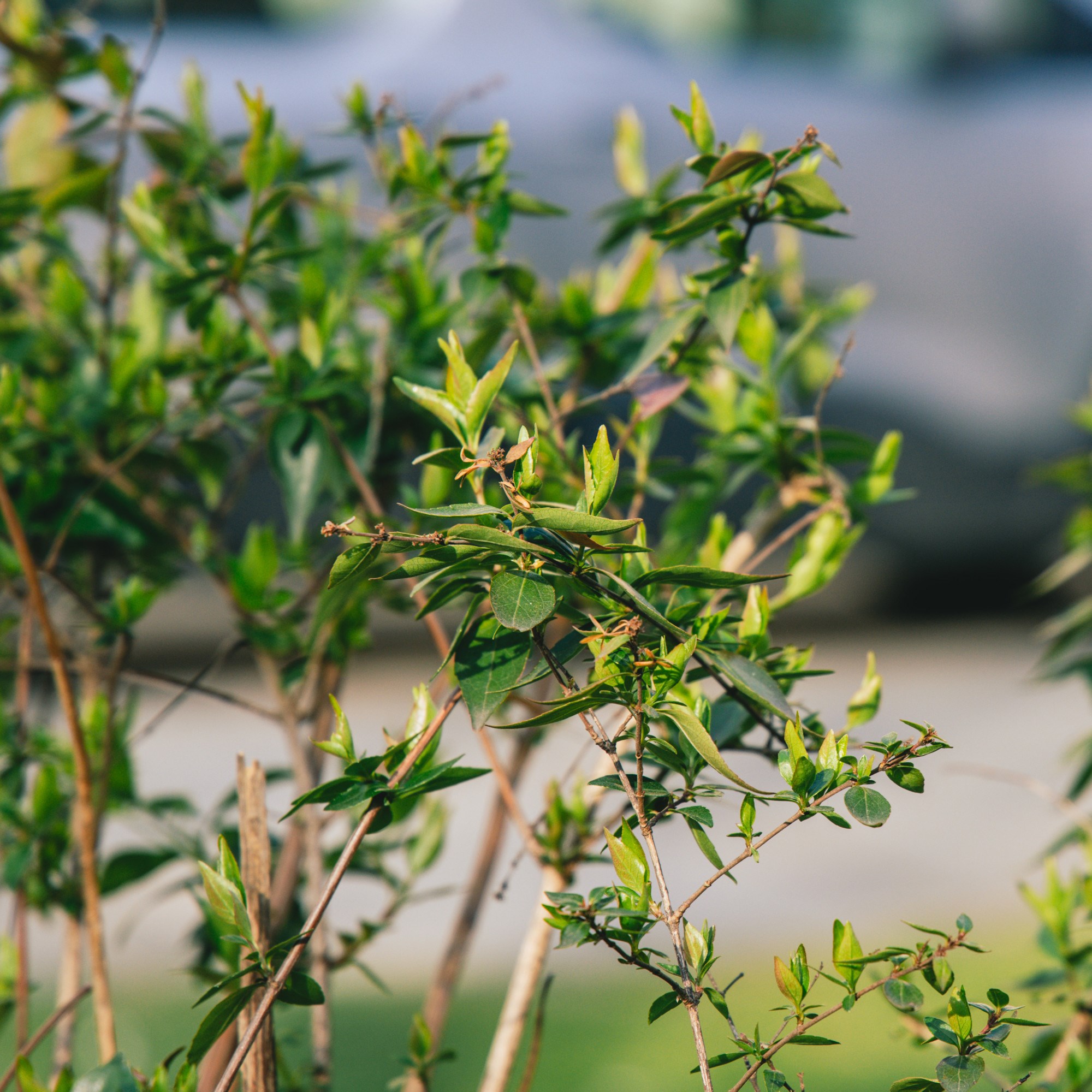 VELIKA GALERIJA Sasvim nečujno nam je stiglo proljeće