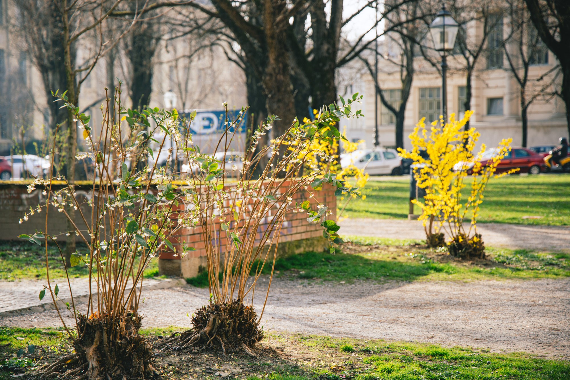 VELIKA GALERIJA Sasvim nečujno nam je stiglo proljeće