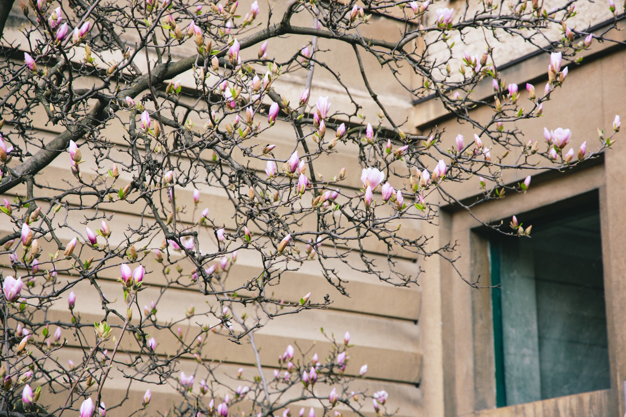 VELIKA GALERIJA Sasvim nečujno nam je stiglo proljeće