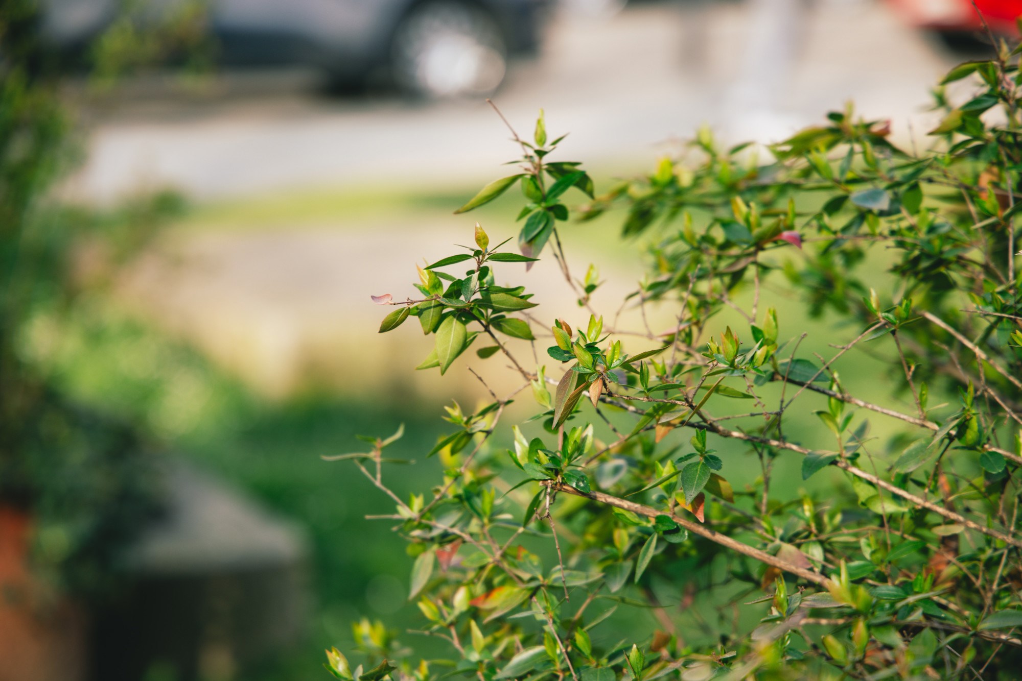 VELIKA GALERIJA Sasvim nečujno nam je stiglo proljeće