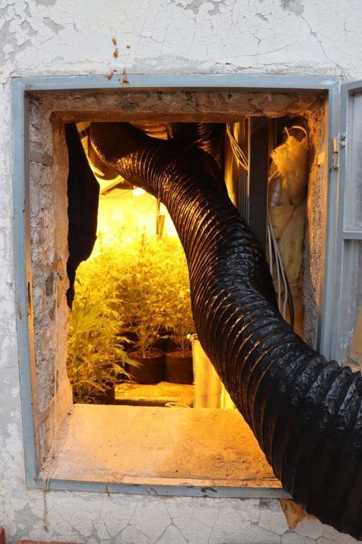 FOTO Policija u Stinici otkrila laboratorij za uzgoj konoplje, uhićena dvojica