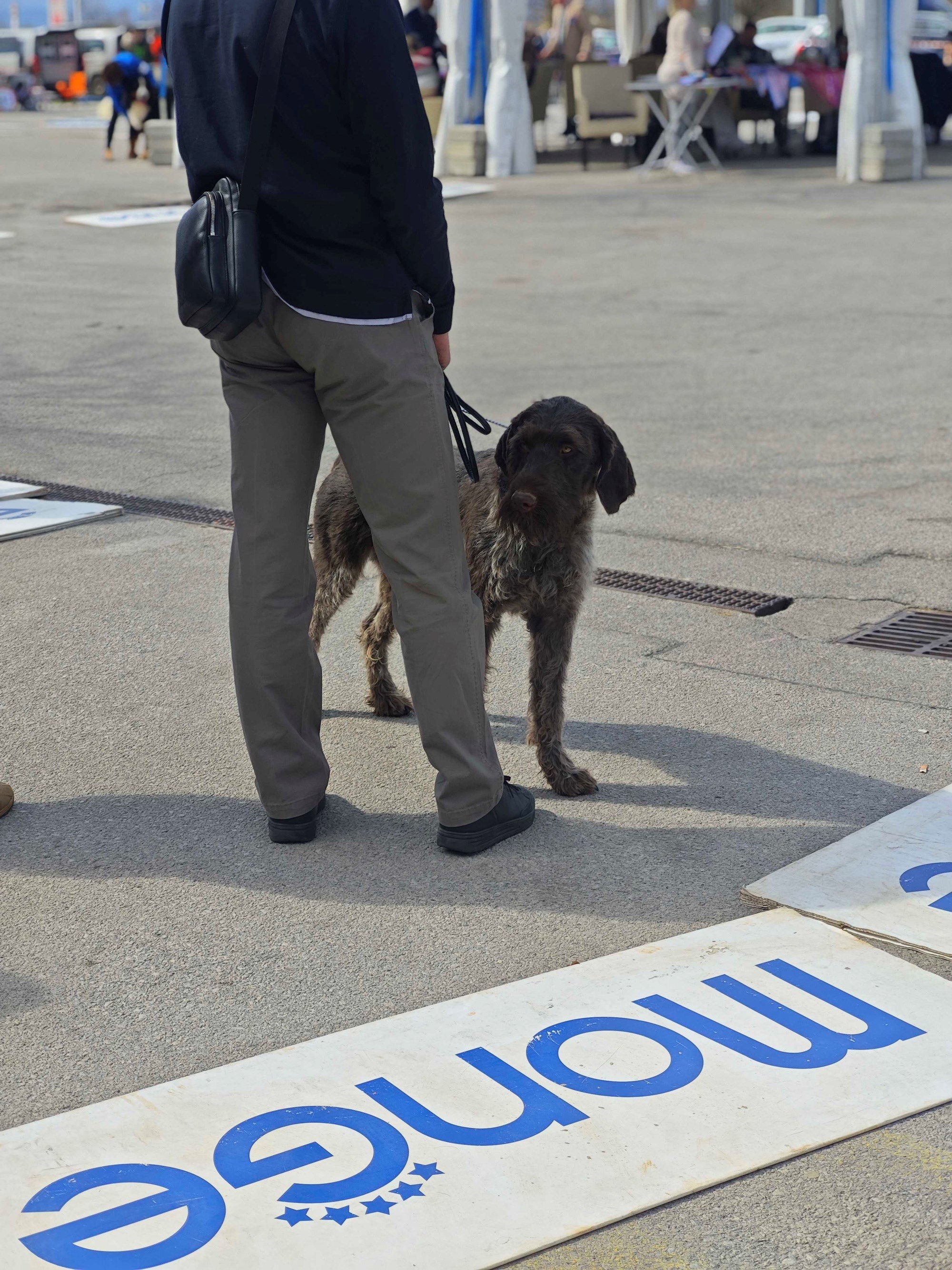 Posjetili smo izložbu pasa u Zaprešiću, pogledajte te preslatke ljubimce 🐶