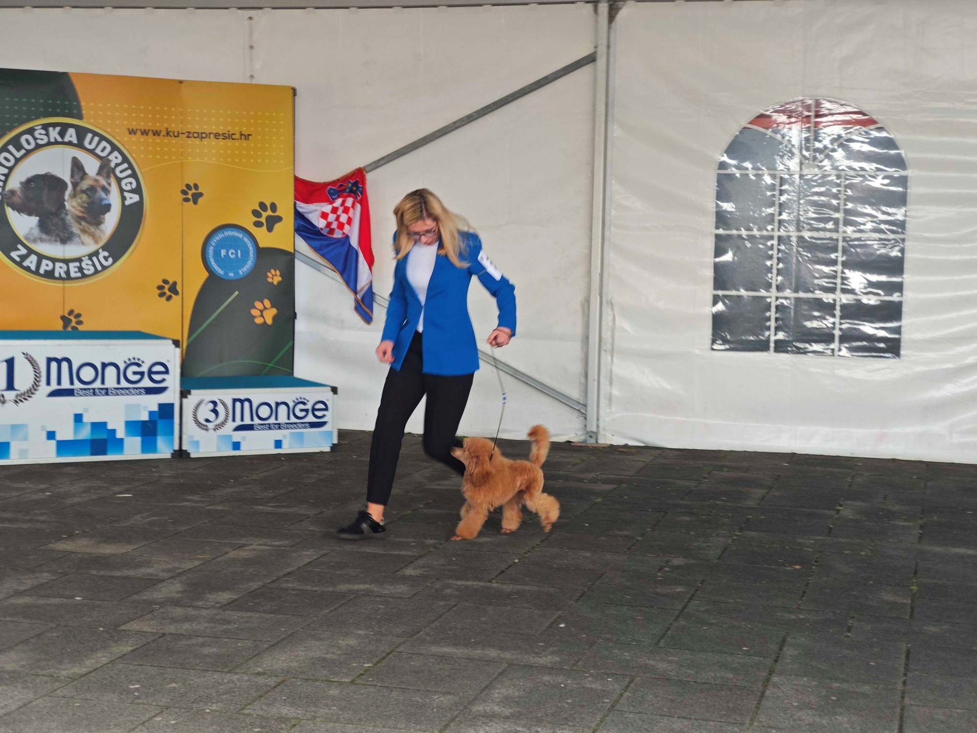 Posjetili smo izložbu pasa u Zaprešiću, pogledajte te preslatke ljubimce 🐶