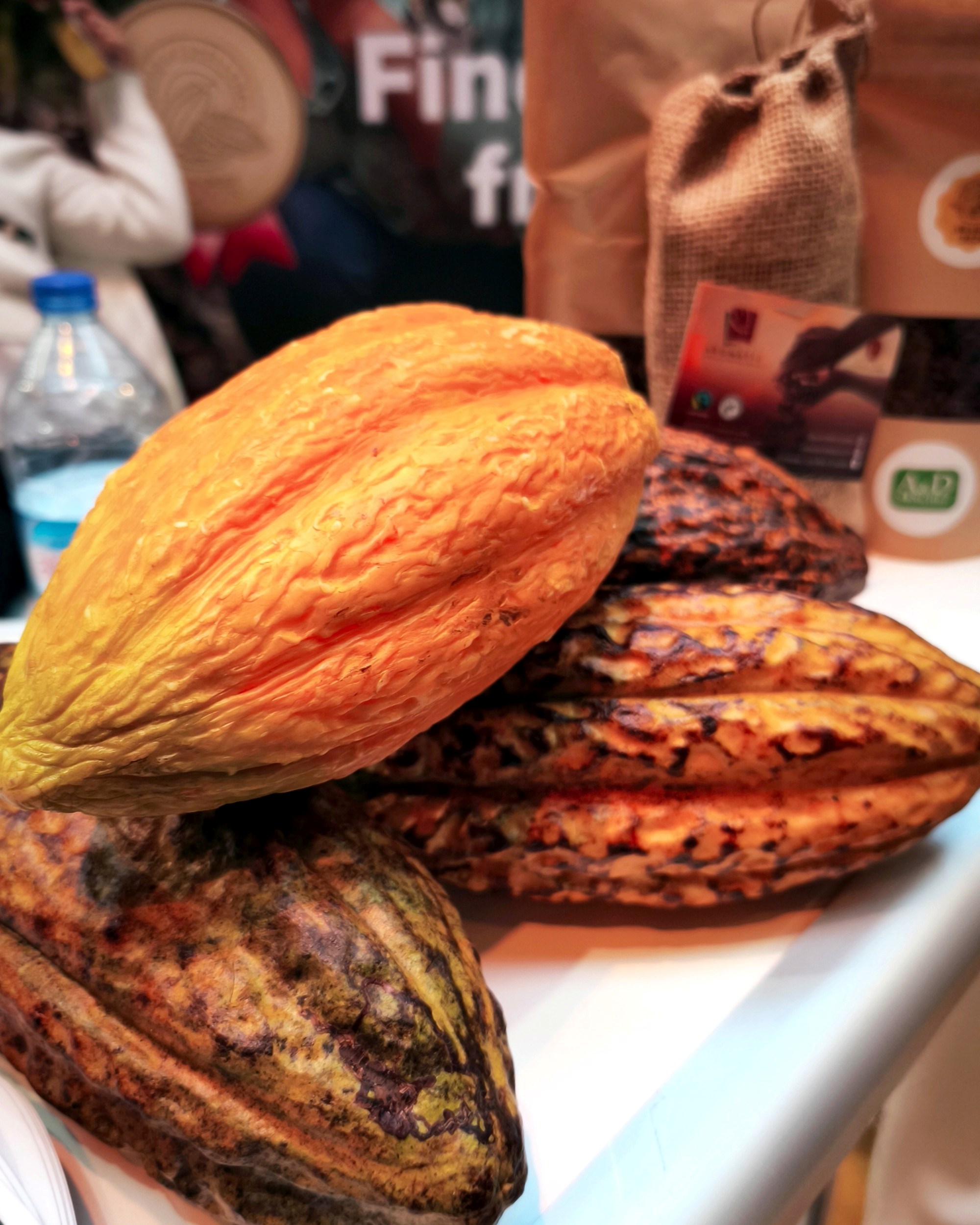 Imamo dojmove s najvećeg svjetskog okupljanja ljudi iz svijeta kakaa i čokolade