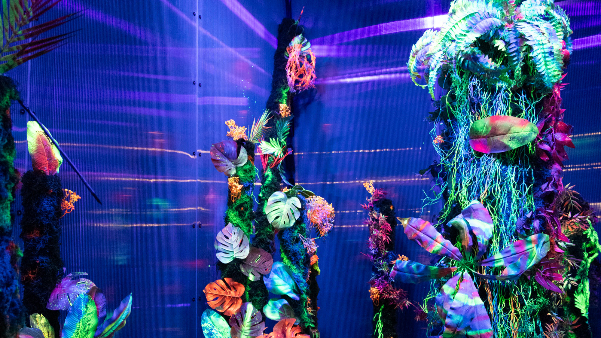 FOTO I VIDEO Počeo je Festival svjetla. Obišli smo par lokacija, izgledaju nestvarno