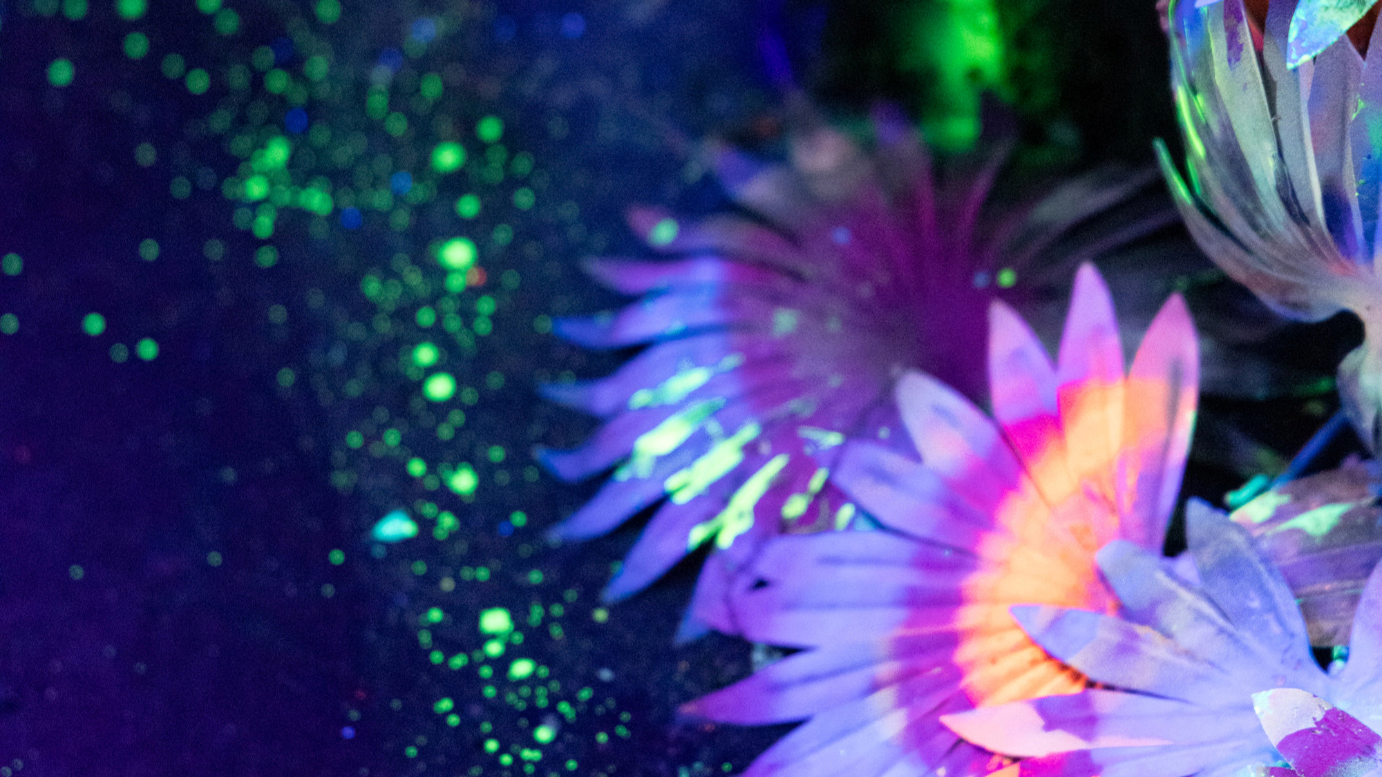 FOTO I VIDEO Počeo je Festival svjetla. Obišli smo par lokacija, izgledaju nestvarno