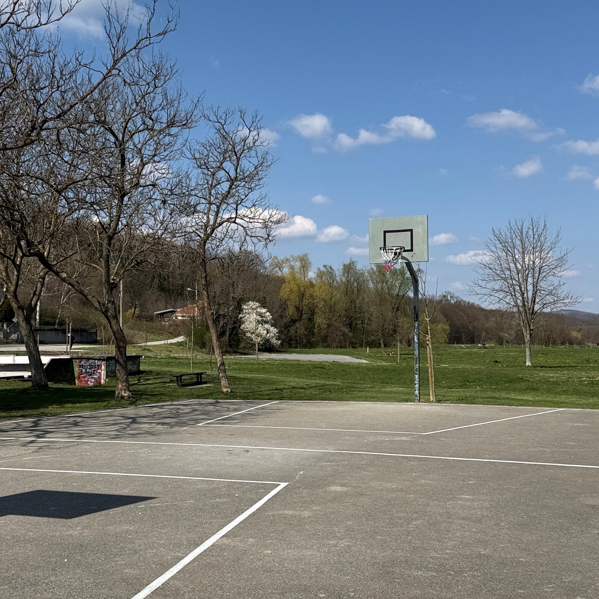 Dominik ima autizam i jako voli koševe s mrežom. Dečki iz kvarta odmah riješili stvar