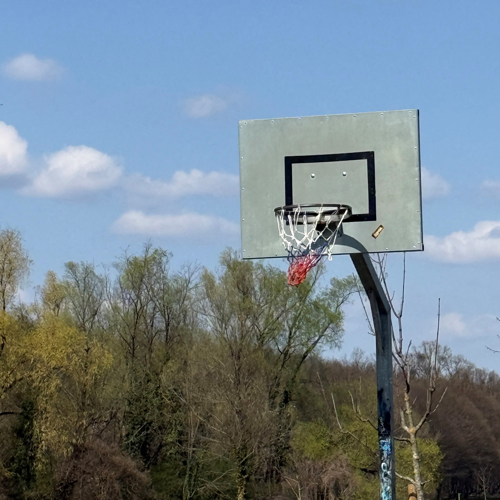 Dominik ima autizam i jako voli koševe s mrežom. Dečki iz kvarta odmah riješili stvar