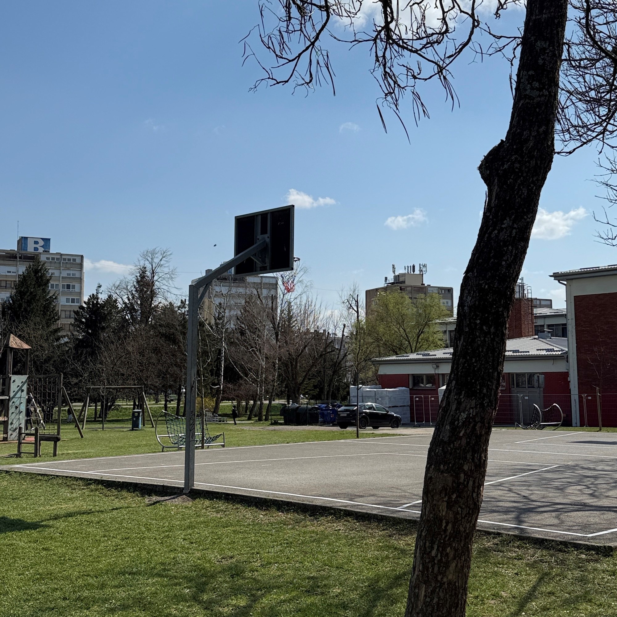 Dominik ima autizam i jako voli koševe s mrežom. Dečki iz kvarta odmah riješili stvar