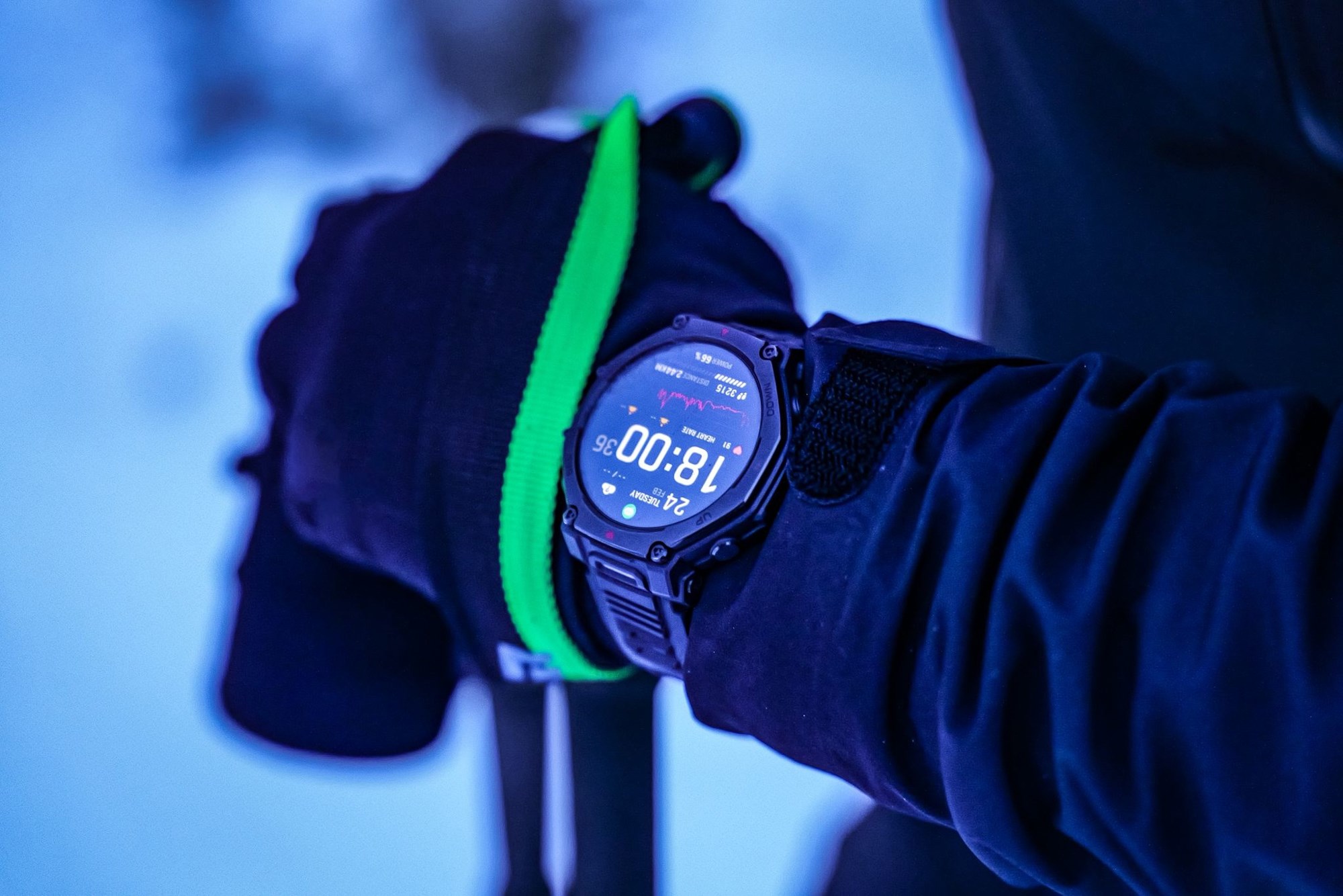 Dvojica Hrvata u Norveškoj snimili veličanstvene životinje: "Bilo je kao u filmu"