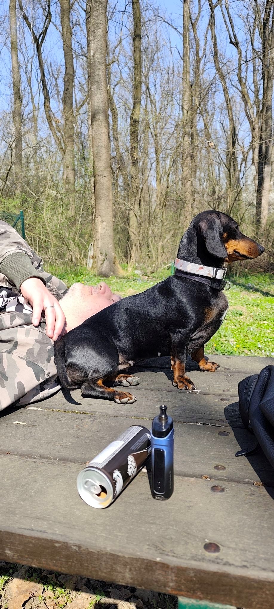 FOTO Čitatelji pokazali svoje jazavčare, preslatki su