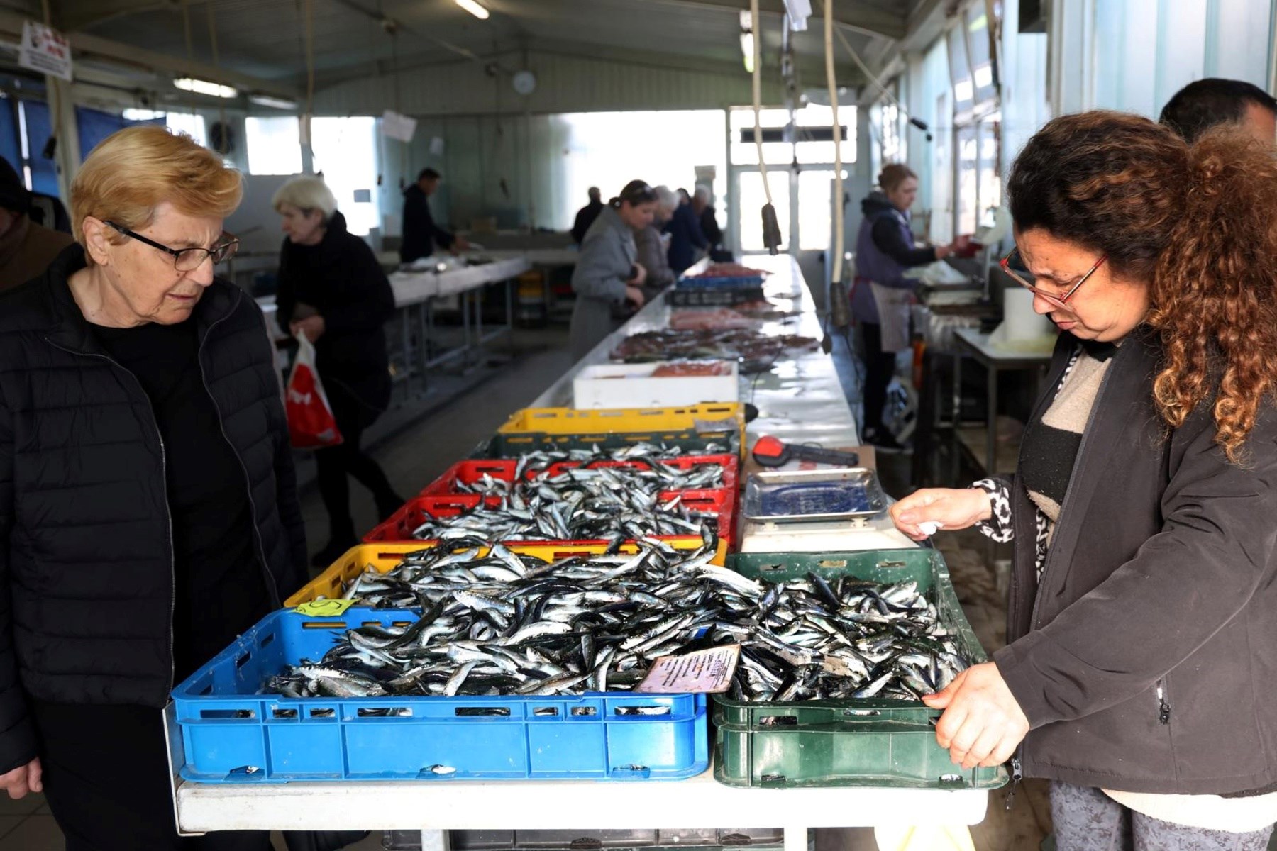 Korizmeni petak na šibenskoj ribarnici: Pogledajte koliko danas košta riba