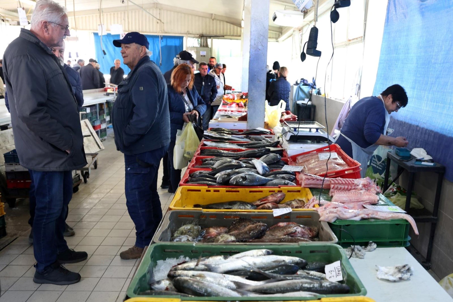Korizmeni petak na šibenskoj ribarnici: Pogledajte koliko danas košta riba