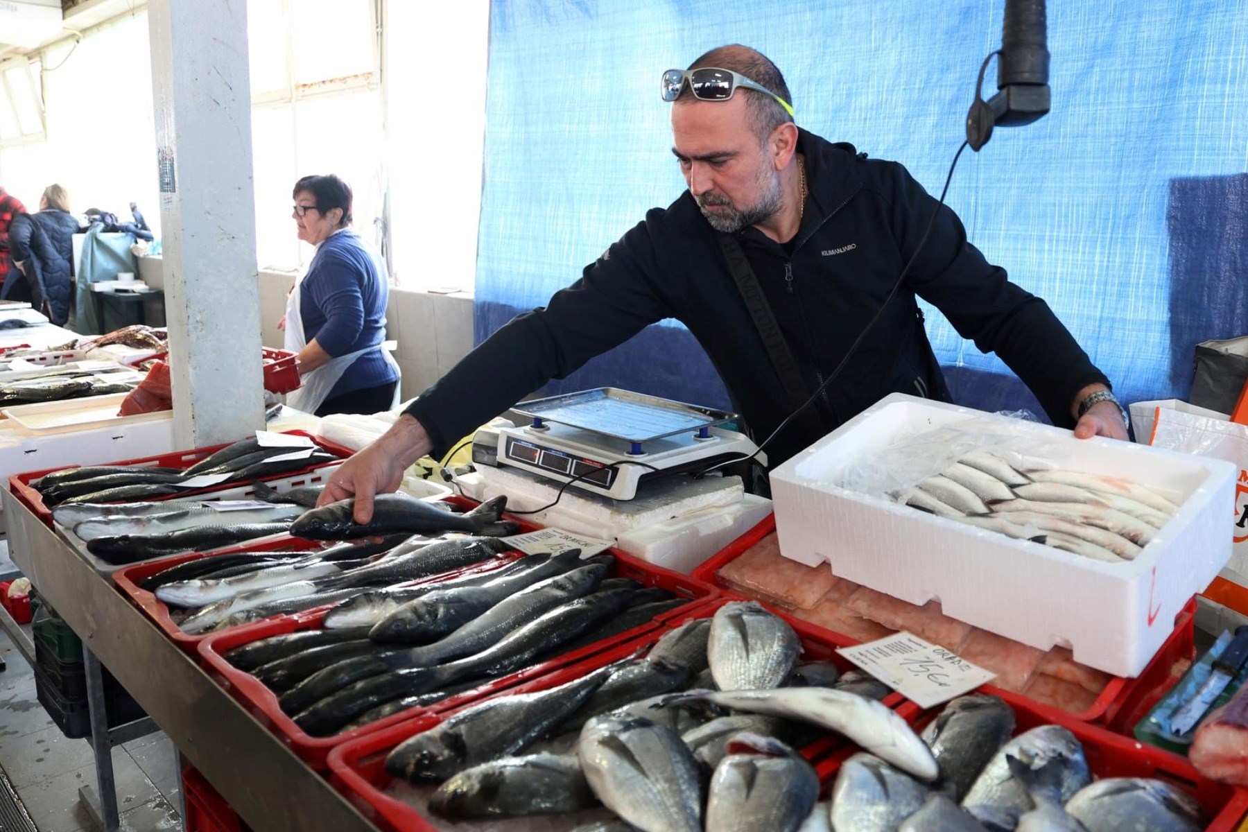 Korizmeni petak na šibenskoj ribarnici: Pogledajte koliko danas košta riba