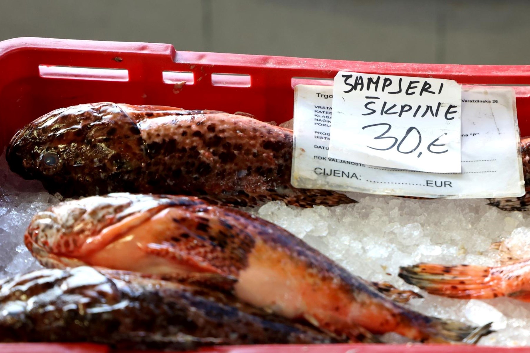 Korizmeni petak na šibenskoj ribarnici: Pogledajte koliko danas košta riba