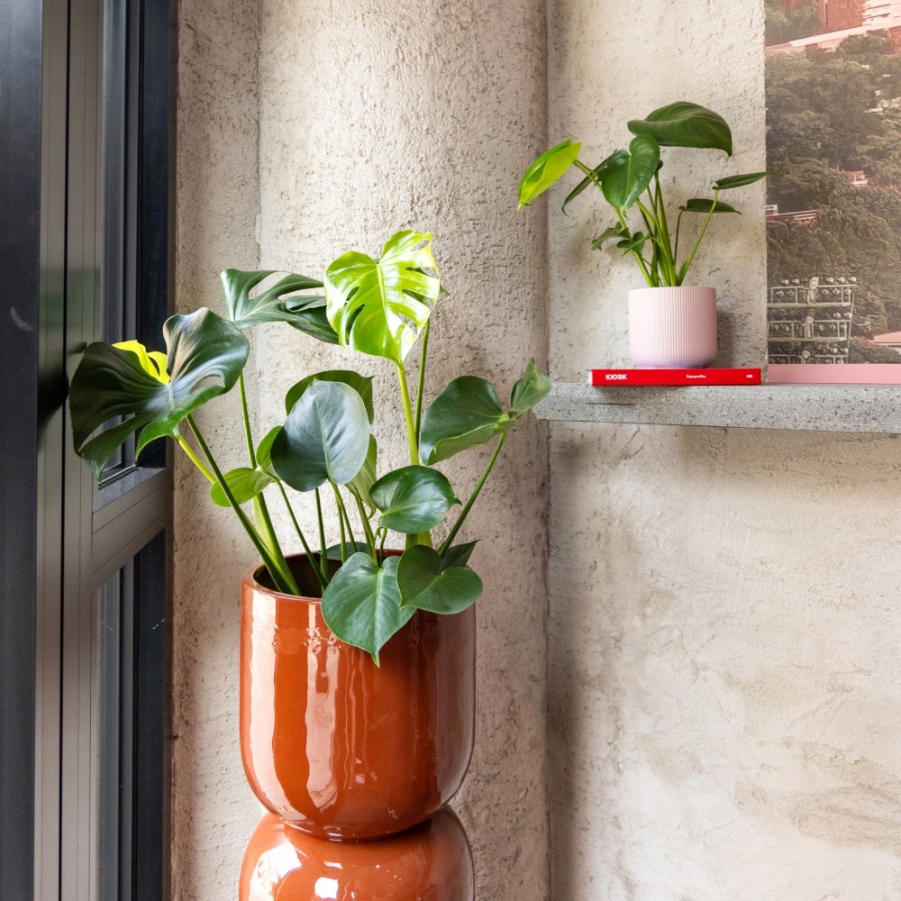 Zagreb dobio još jedno kul mjesto za popiti kavu, i to u Ciboninom tornju