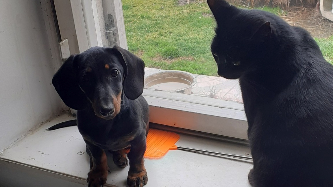 Najslađa galerija tjedna 😍