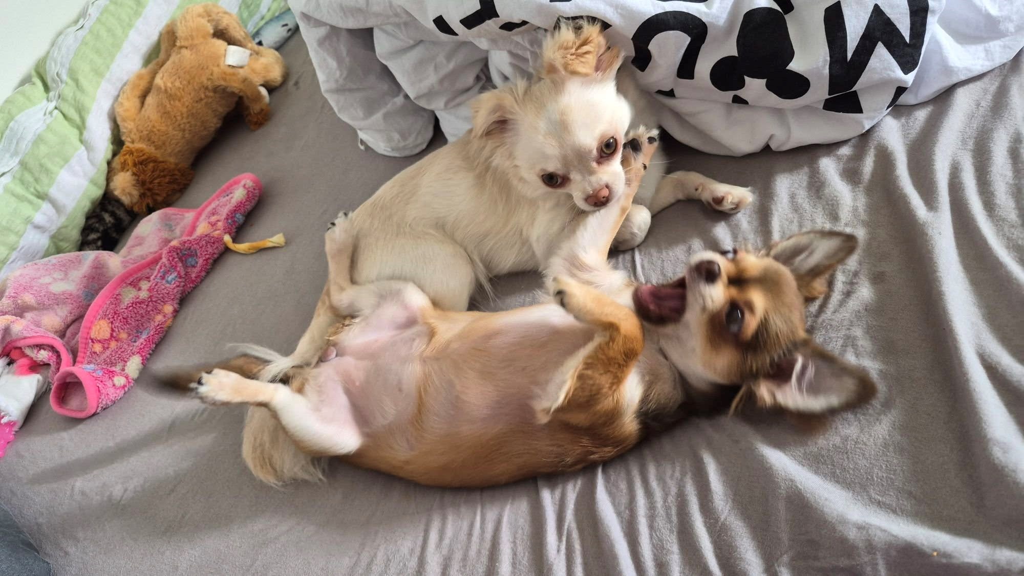 Najslađa galerija tjedna 😍