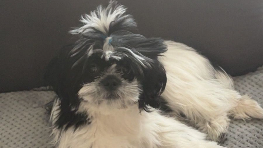 Najslađa galerija tjedna 😍