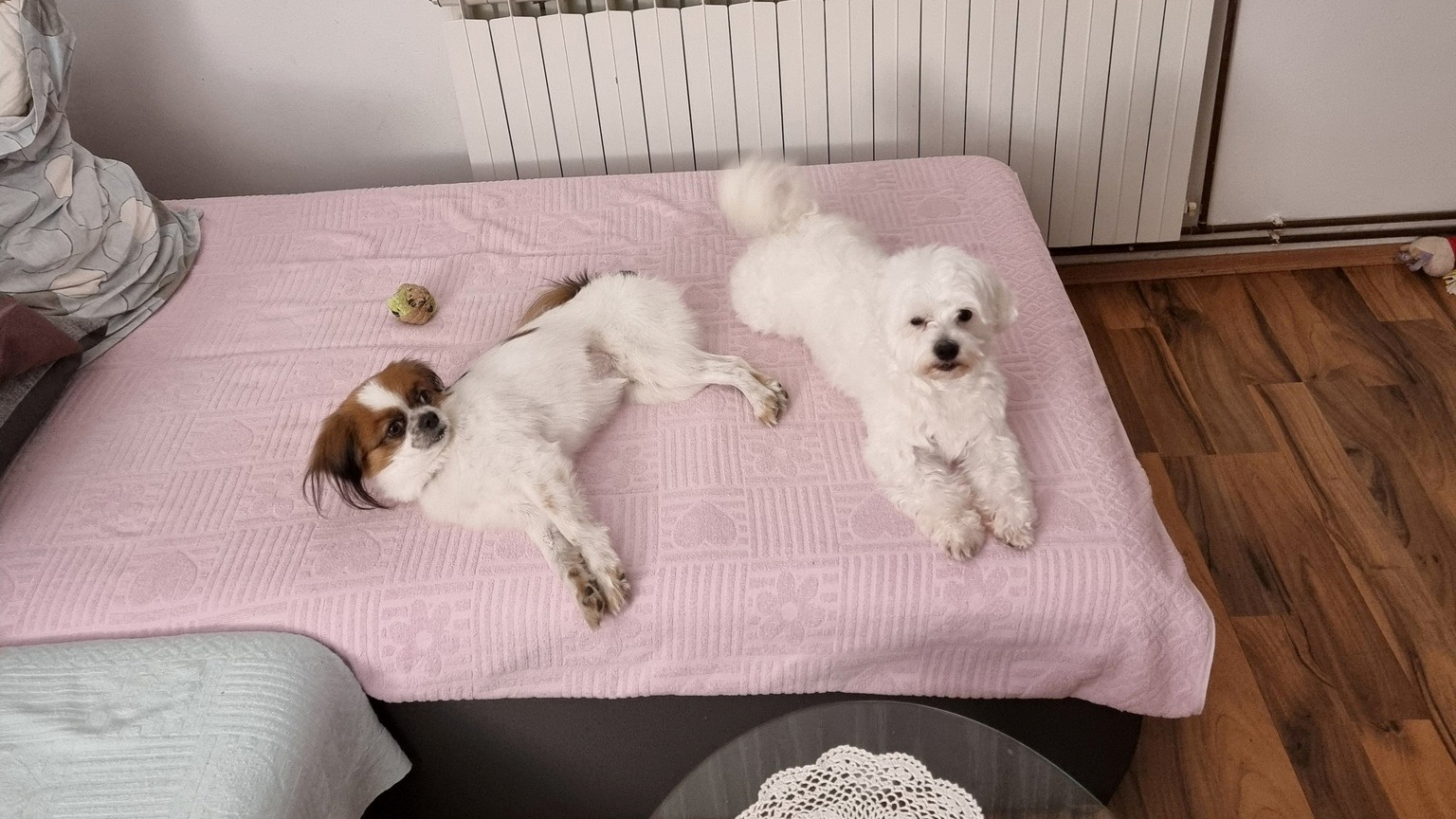 Najslađa galerija tjedna 😍