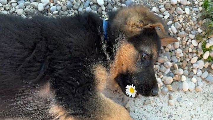 Najslađa galerija tjedna 😍