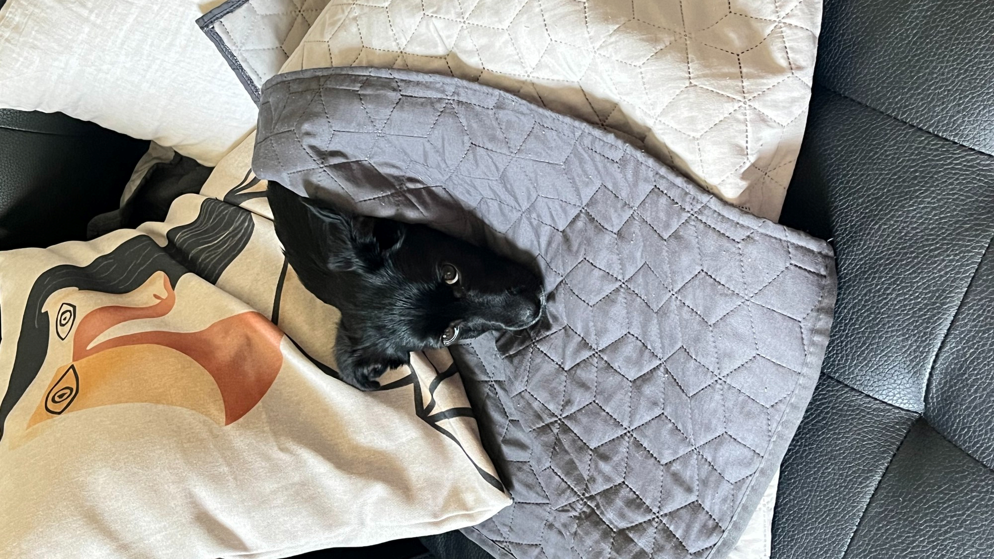 Najslađa galerija tjedna 😍