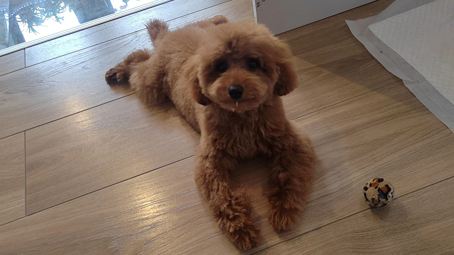 Najslađa galerija tjedna 😍