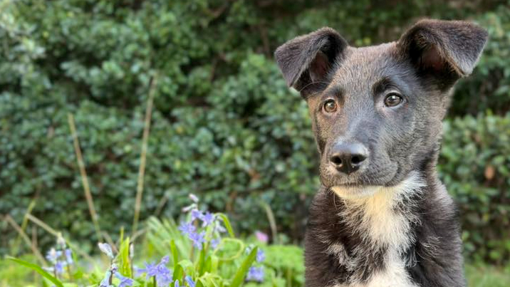 Najslađa galerija tjedna 😍