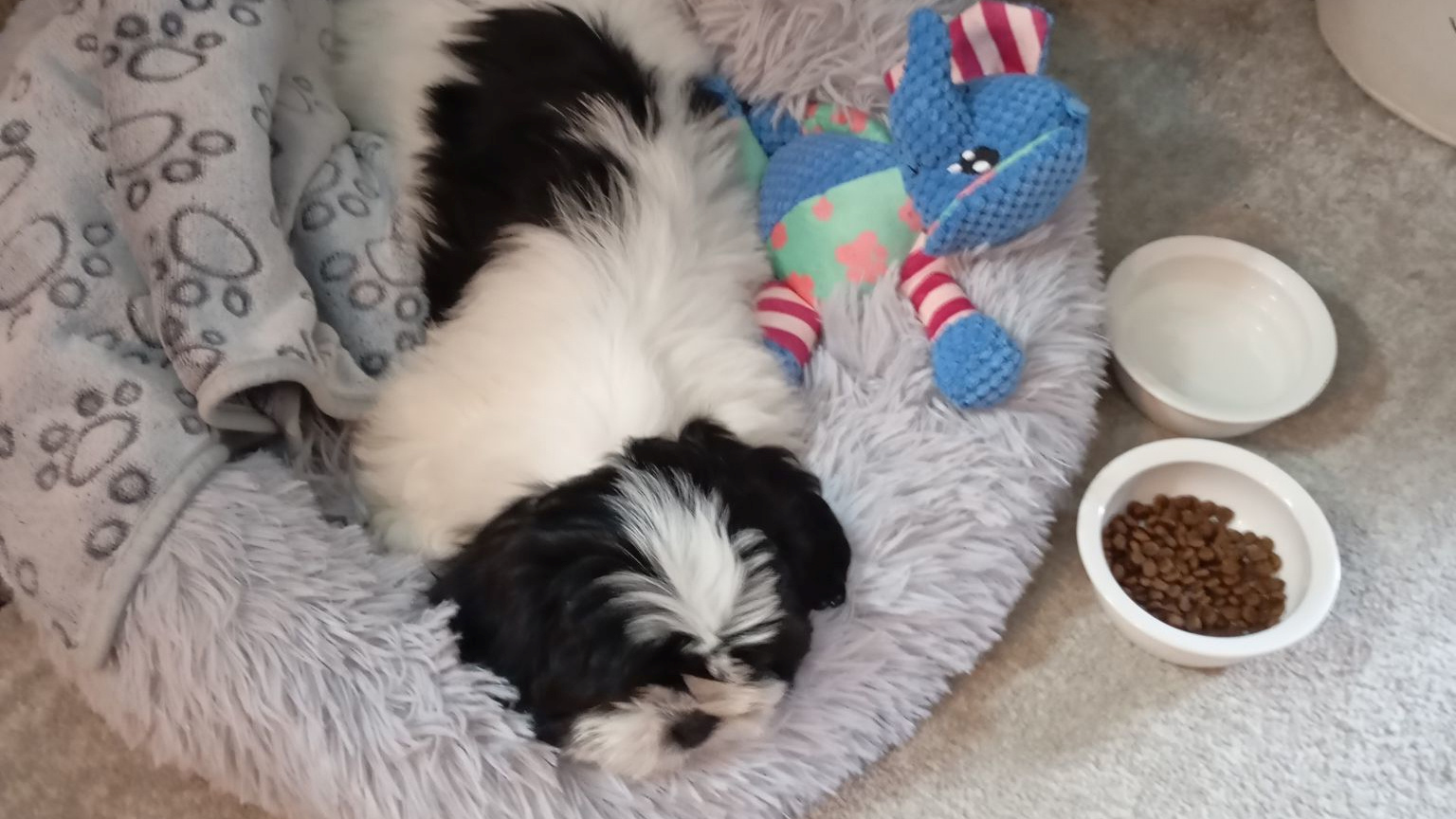 Najslađa galerija tjedna 😍