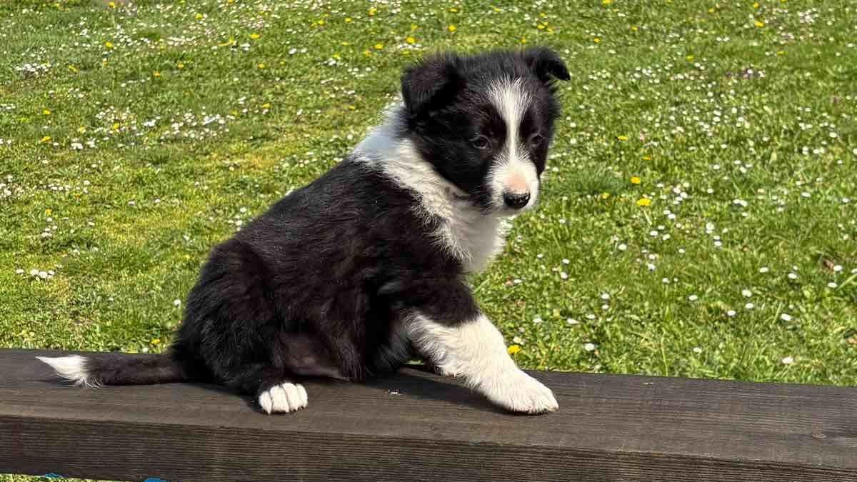 Najslađa galerija tjedna 😍