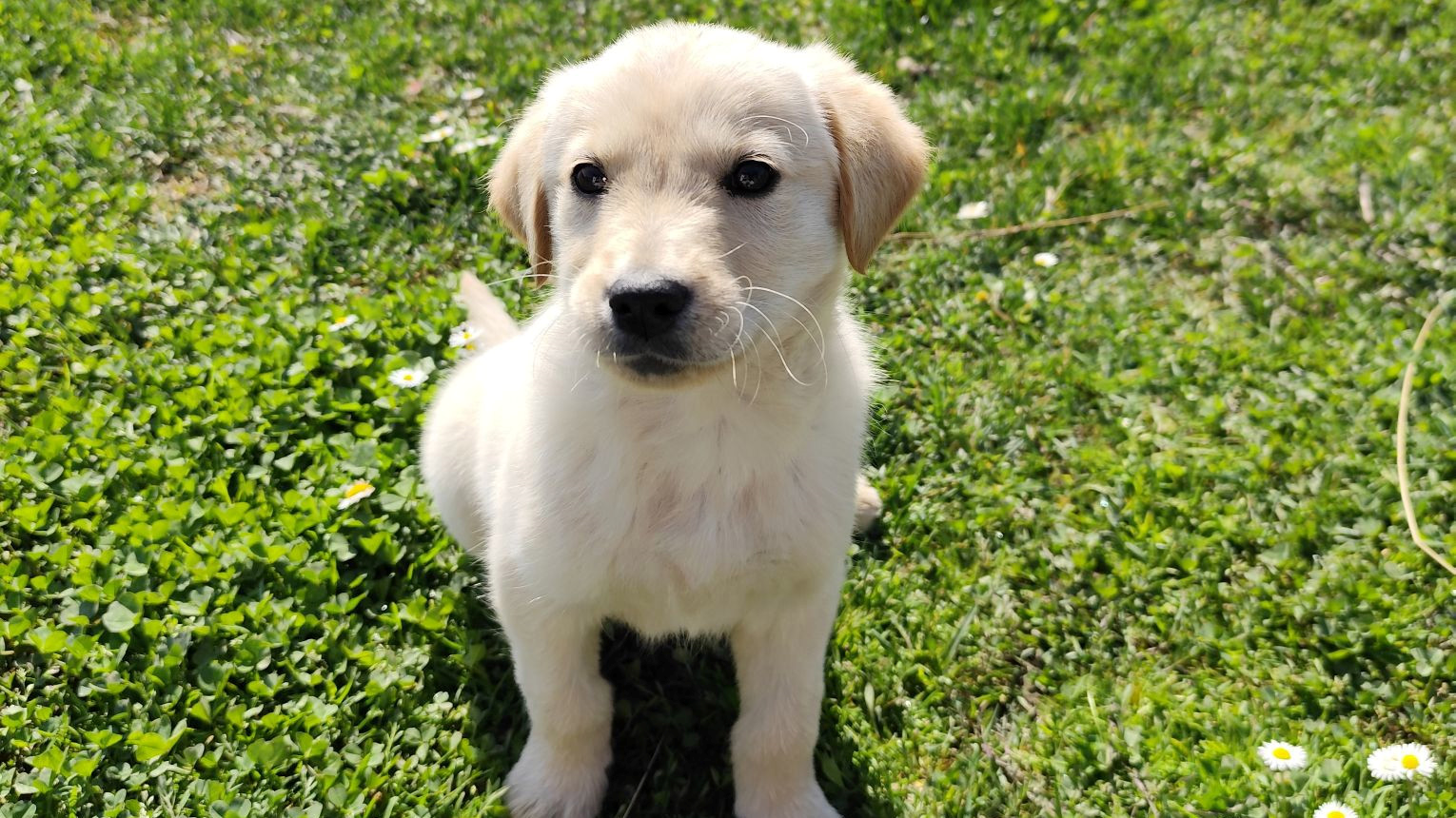 Najslađa galerija tjedna 😍