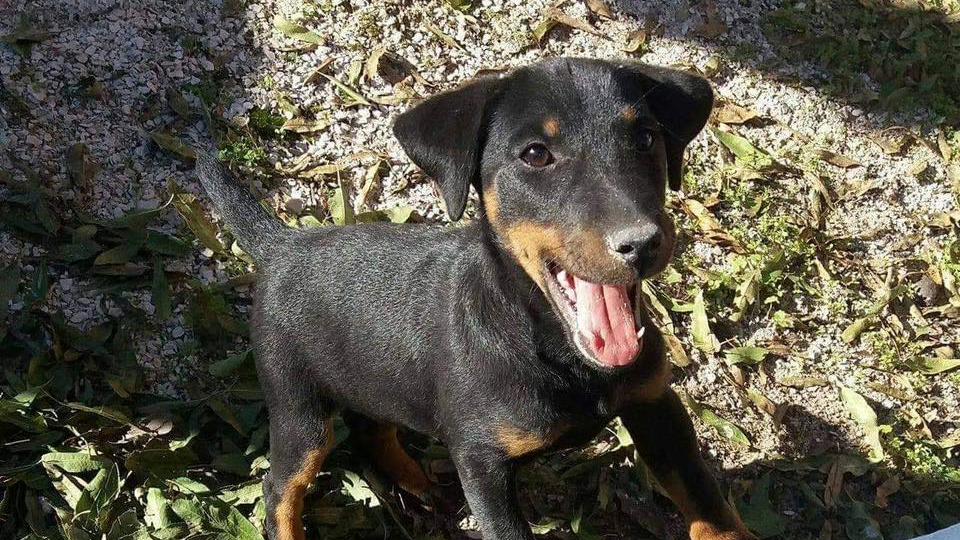 Najslađa galerija tjedna 😍