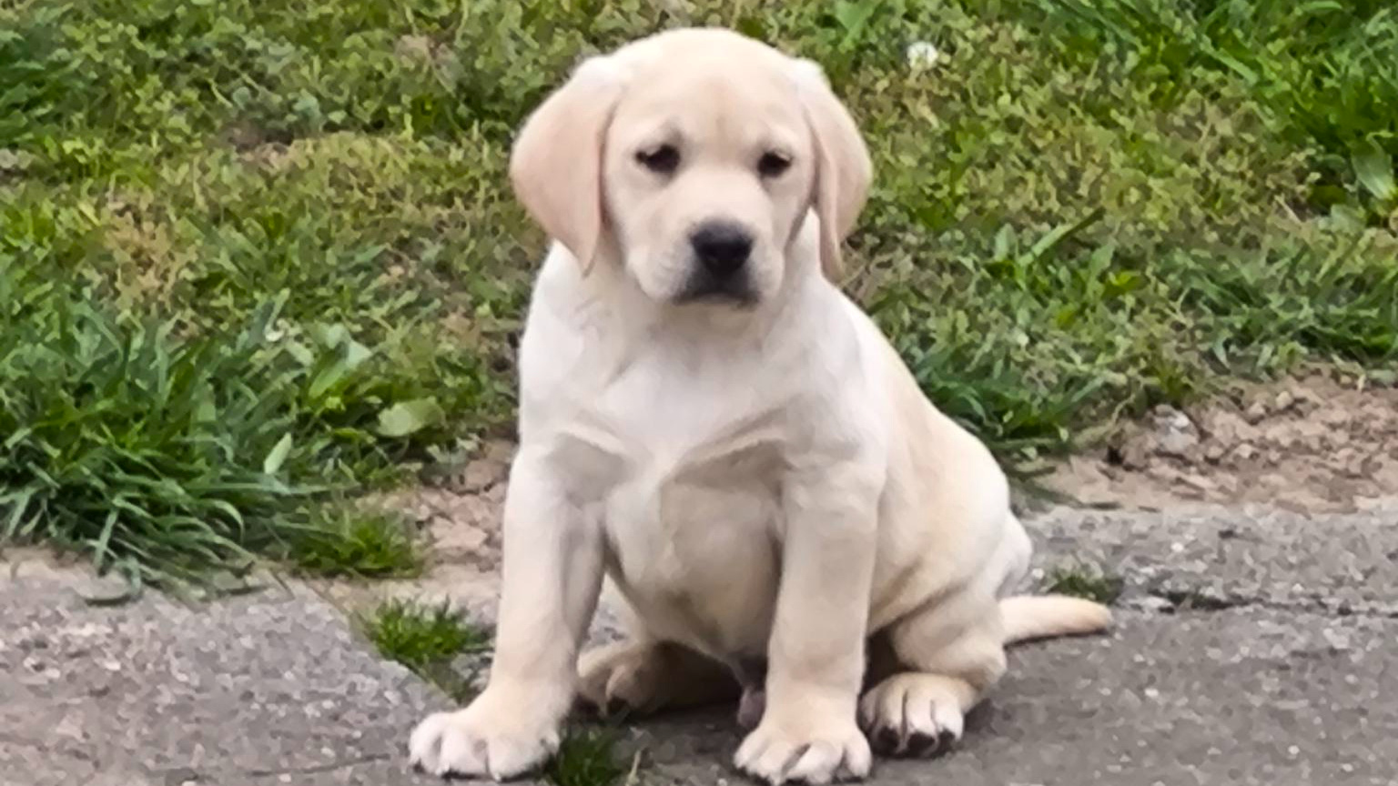 Najslađa galerija tjedna 😍