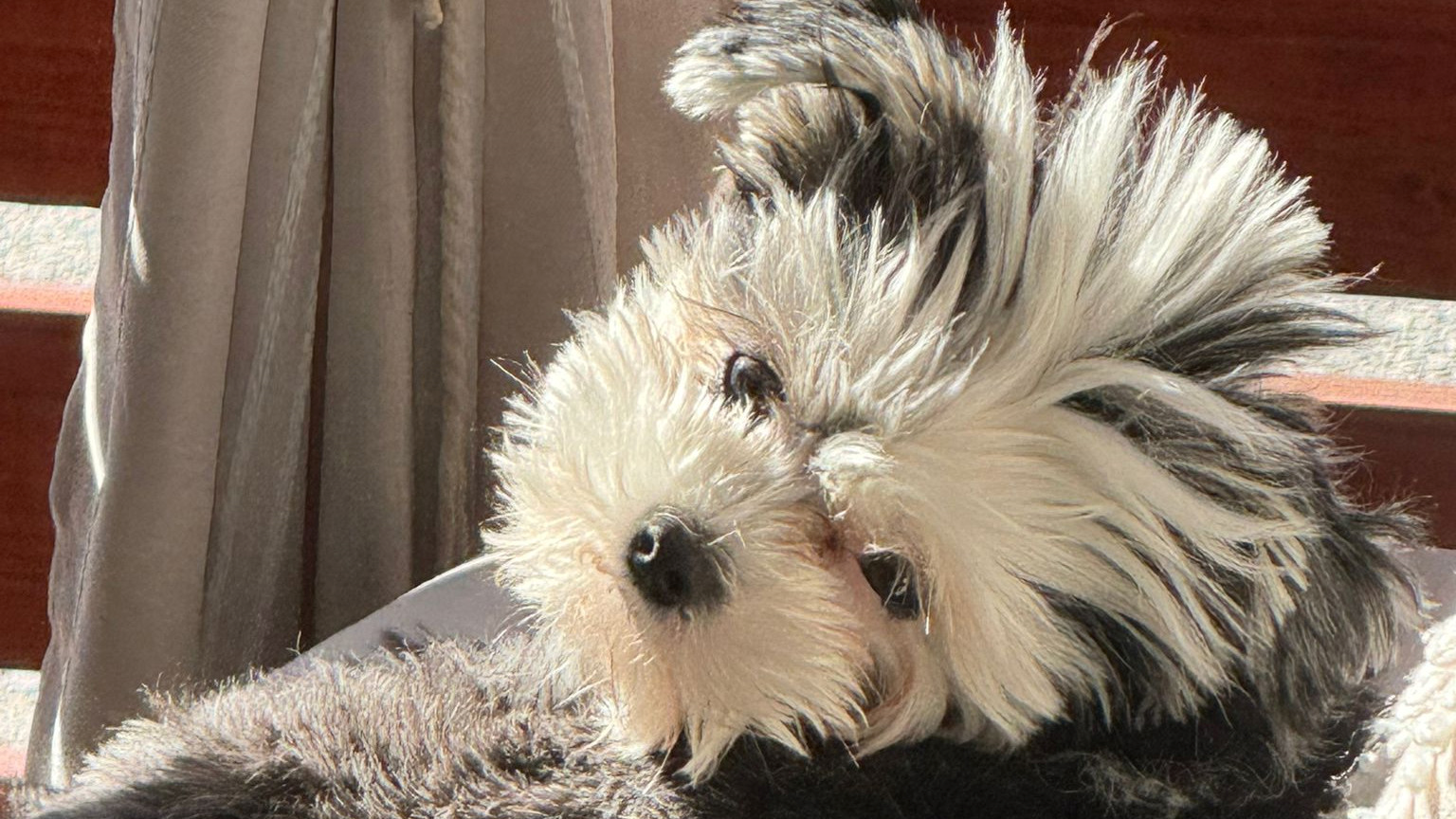 Najslađa galerija tjedna 😍