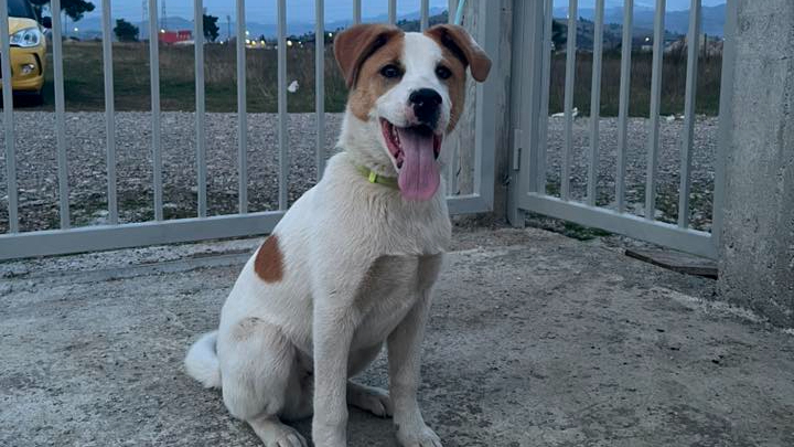 Najslađa galerija tjedna 😍