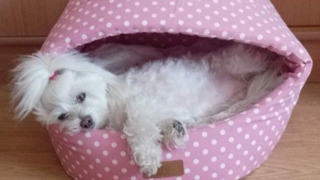 Najslađa galerija tjedna 😍