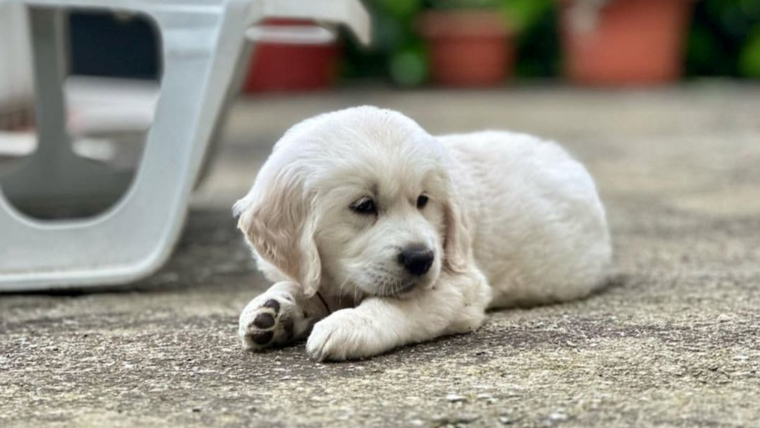 Najslađa galerija tjedna 😍