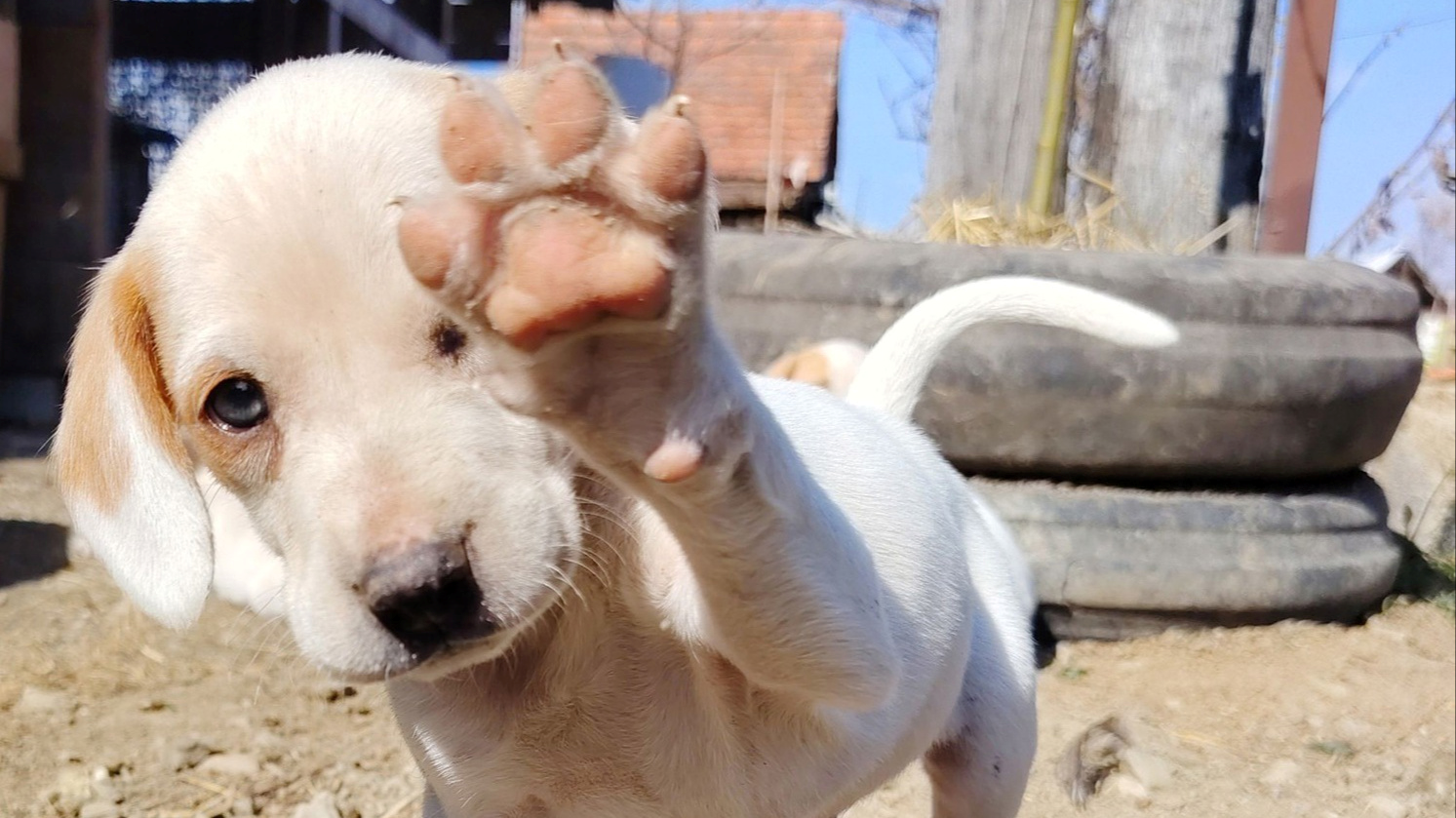 Najslađa galerija tjedna 😍